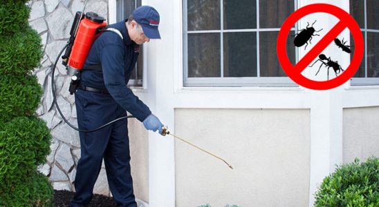Burdur Kemirgen İlaçlama böcek ilaçlama ve haşere kontrolü — ilaclama-tr.com